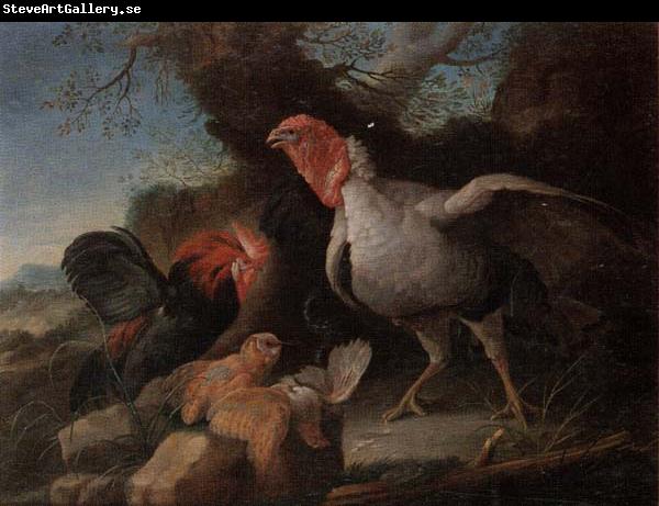 unknow artist Still life of a turkey,a bantan,a barn owl and a grey partridge in a rocky landscape